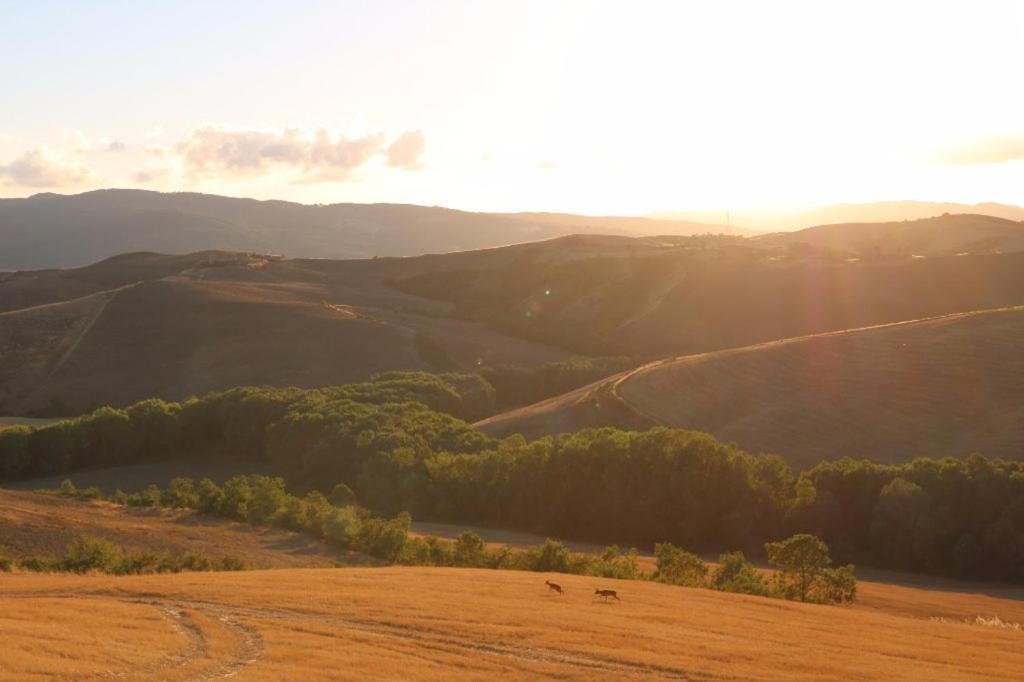 Agriturismo Fattoria Lischeto 볼테라 외부 사진